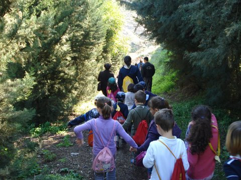 4ª repoblación - Año internacional de los bosques