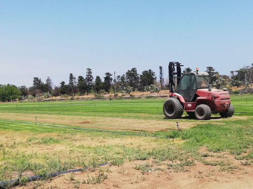 Consorcio de Agraria - Italia